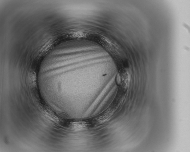 X0000096480556200802141724