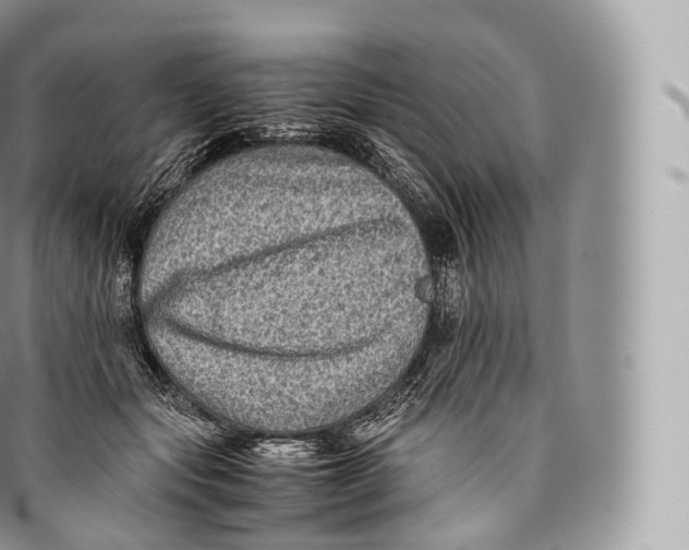 X0000096480557200802141724