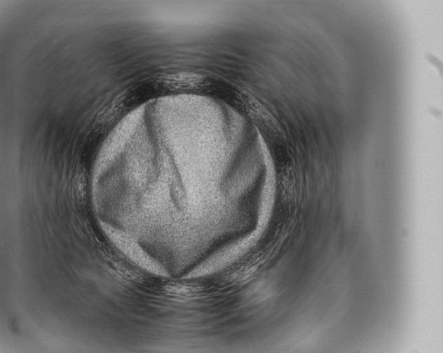 X0000096480561200802141724