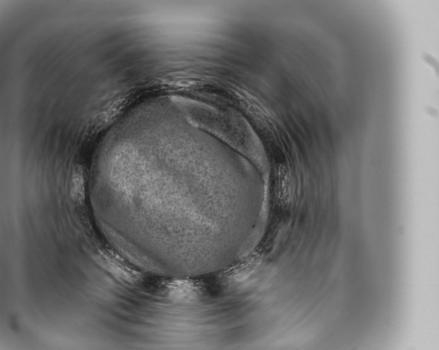 X0000096480562200802141724