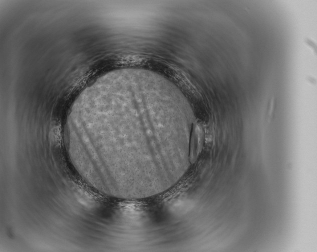 X0000096480564200802141724