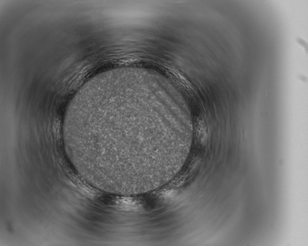 X0000096480565200802141725