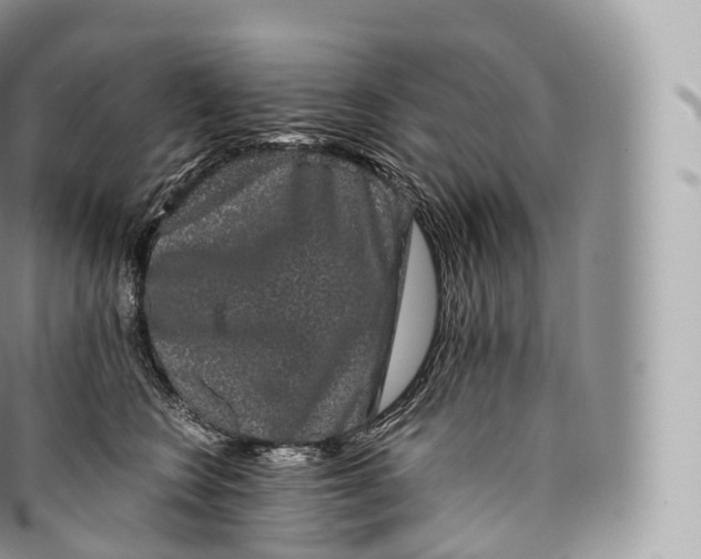 X0000096480566200802141725