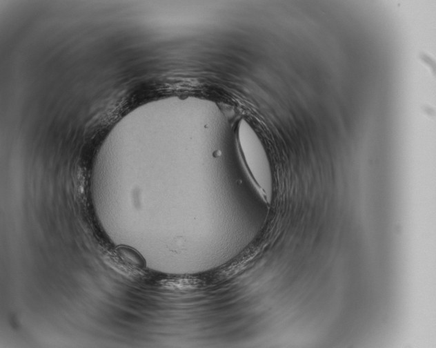 X0000096480567200802141725