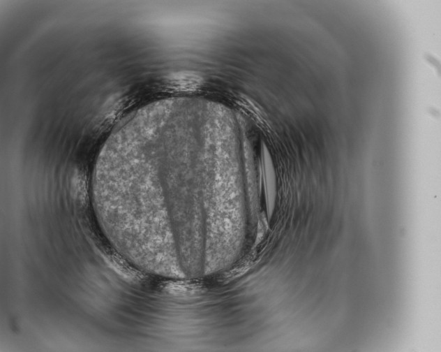 X0000096480568200802141725