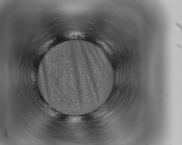 X0000096480569200802141725