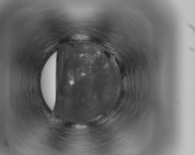 X0000096480570200802141725