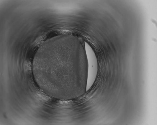 X0000096480571200802141725