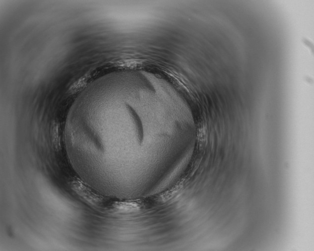 X0000096480572200802141725