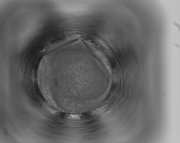 X0000096480573200802141725