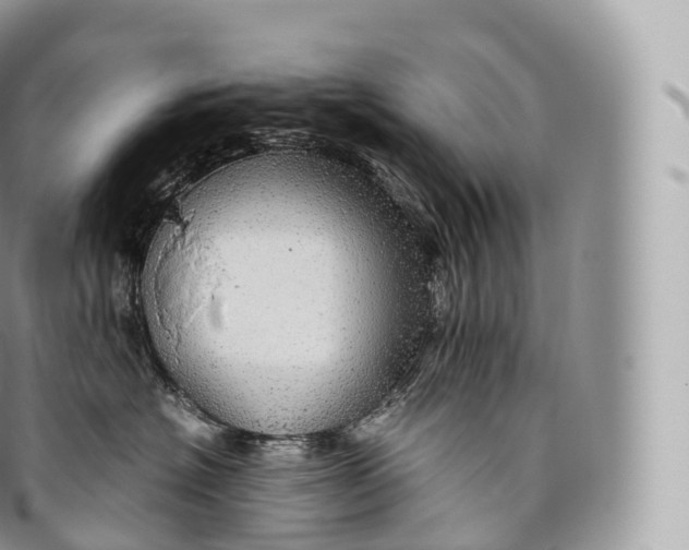 X0000096480574200802141725