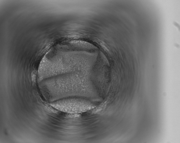 X0000096480576200802141725