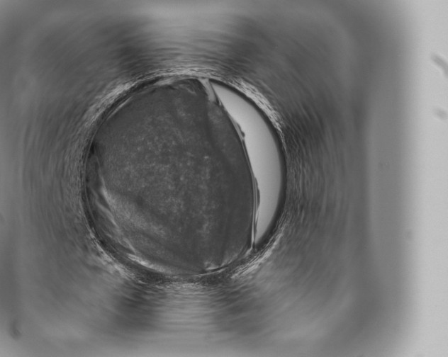 X0000096480577200802141724