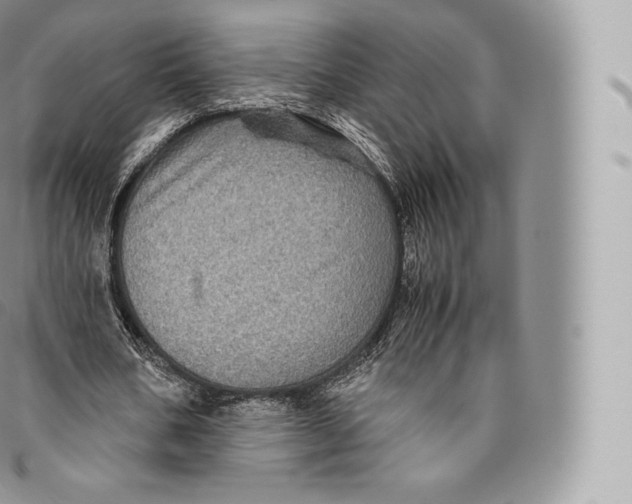 X0000096480578200802141724