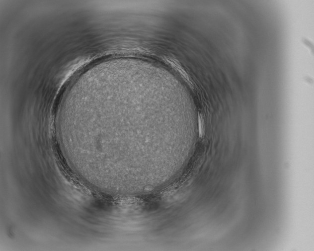 X0000096480579200802141724