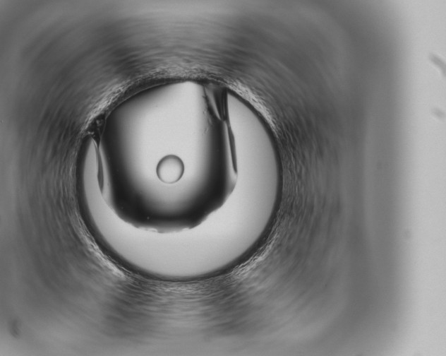 X0000096480581200802141724