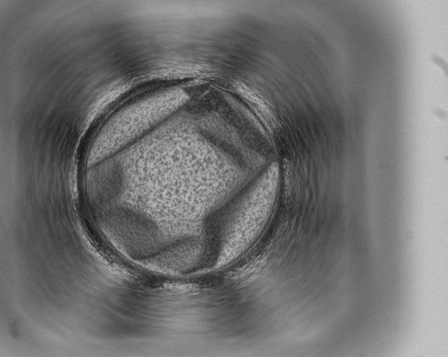 X0000096480582200802141724