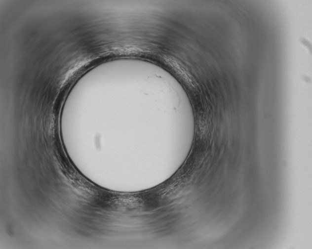 X0000096480583200802141724