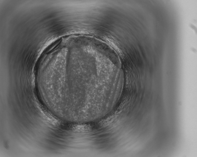 X0000096480584200802141724