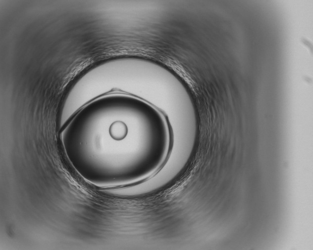 X0000096480585200802141724