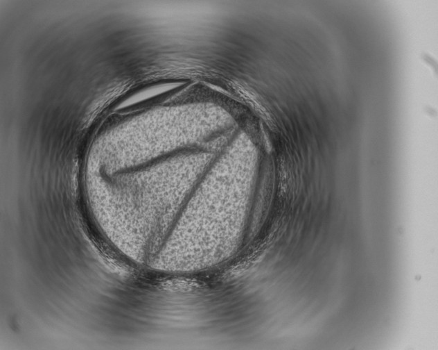 X0000096480586200802141724