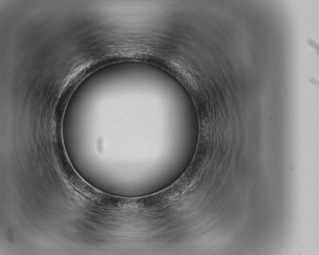 X0000096480587200802141724