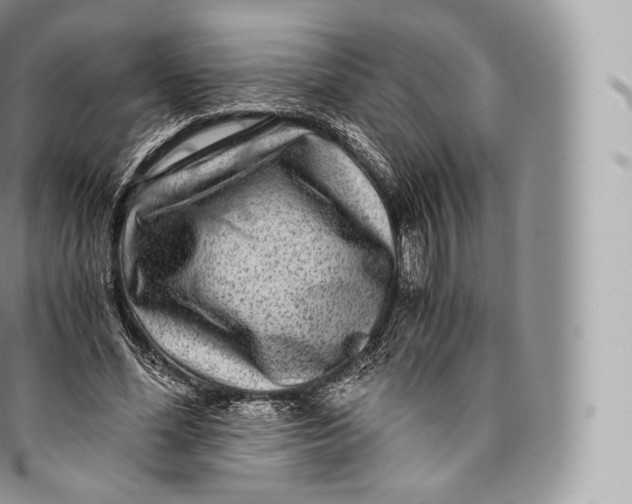 X0000096480588200802141724