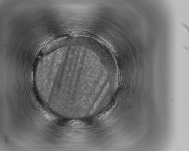 X0000096480589200802141723