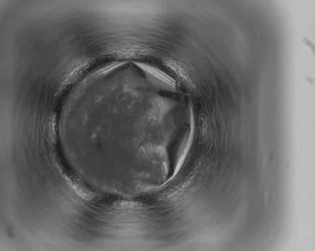 X0000096480590200802141723