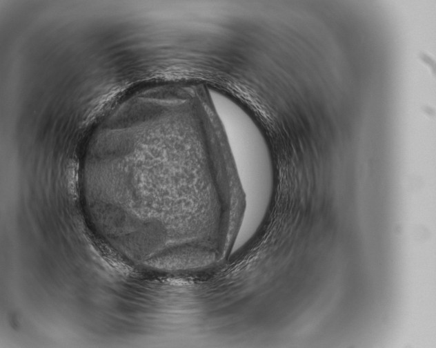 X0000096480592200802141723