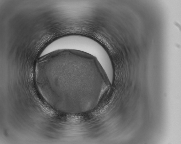 X0000096480593200802141723