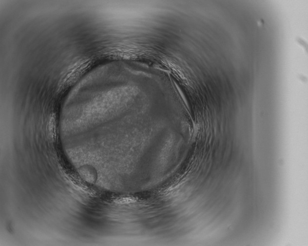 X0000096480594200802141723