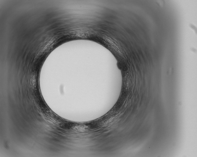 X0000096480595200802141723