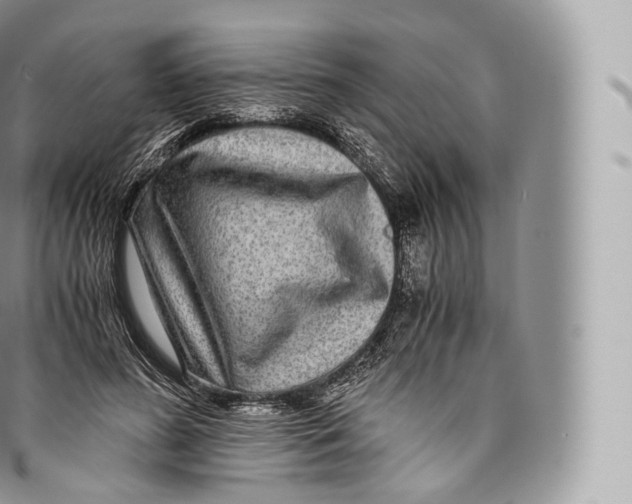 X0000096480596200802141723