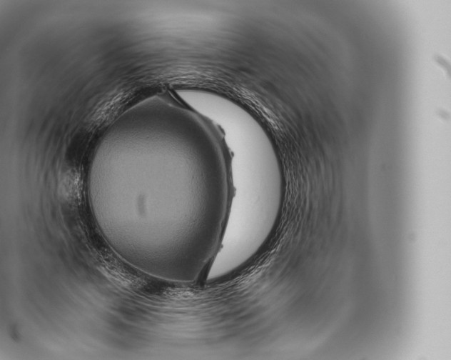 X0000096480597200802141723