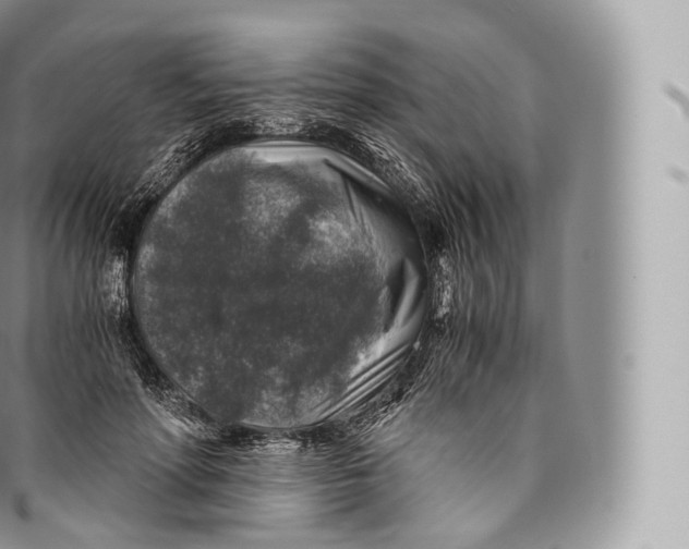 X0000096480598200802141723