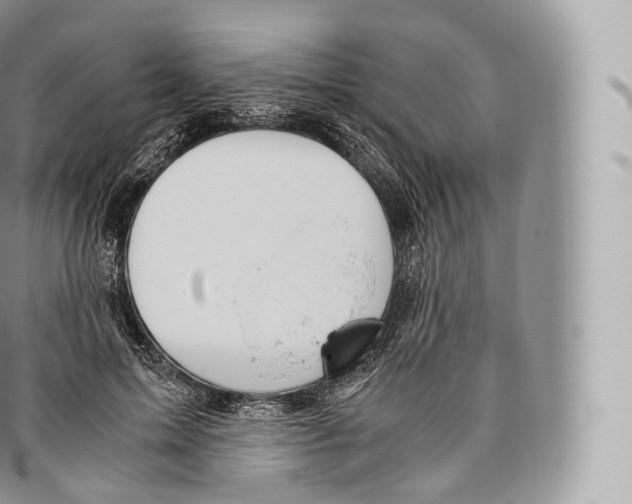 X0000096480599200802141723