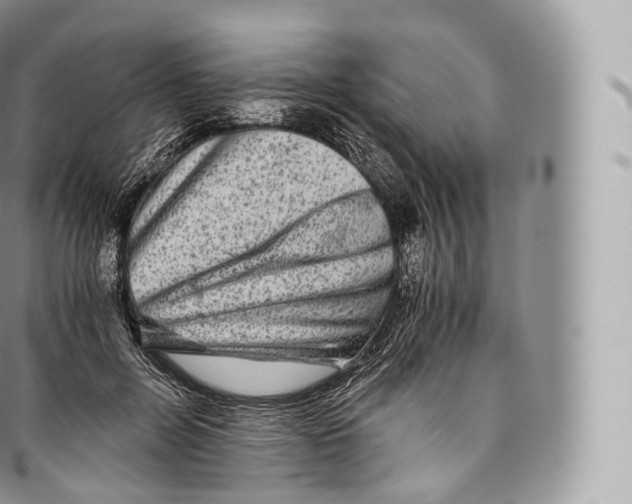 X0000096480600200802141723