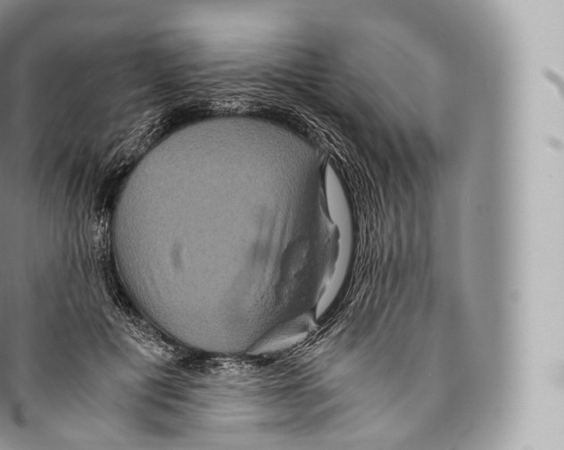 X0000096480601200802141723