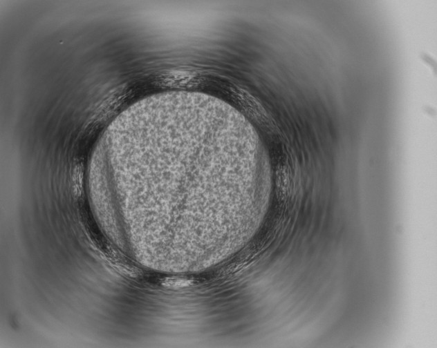 X0000096480602200802141723