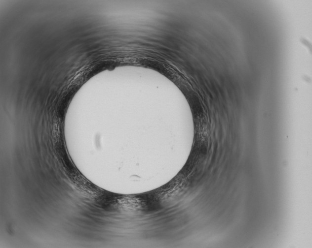 X0000096480603200802141723