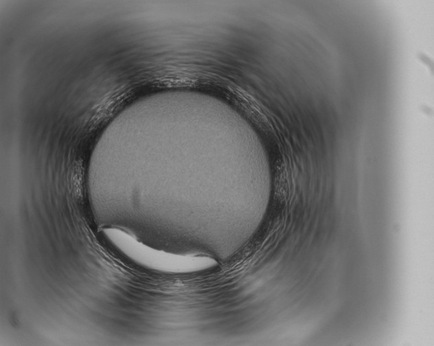 X0000096480604200802141723