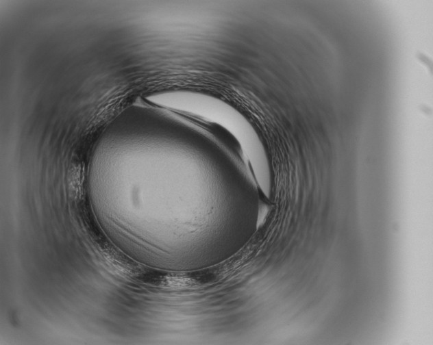 X0000096480605200802141723