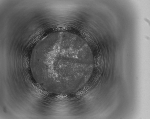 X0000096480606200802141723