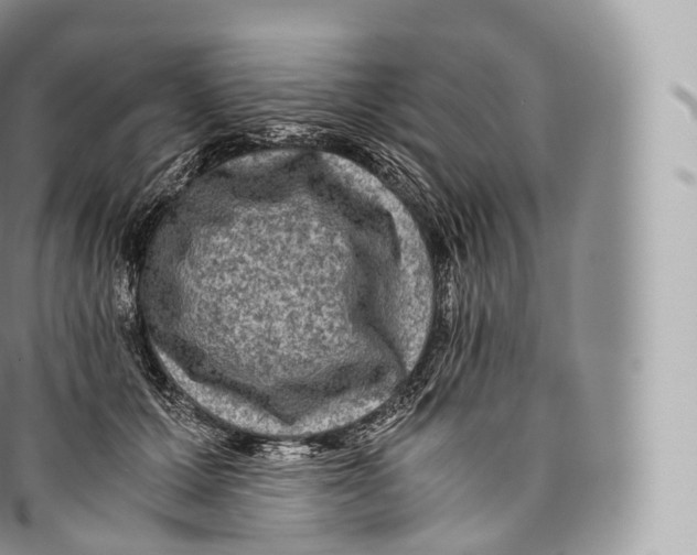 X0000096480607200802141723