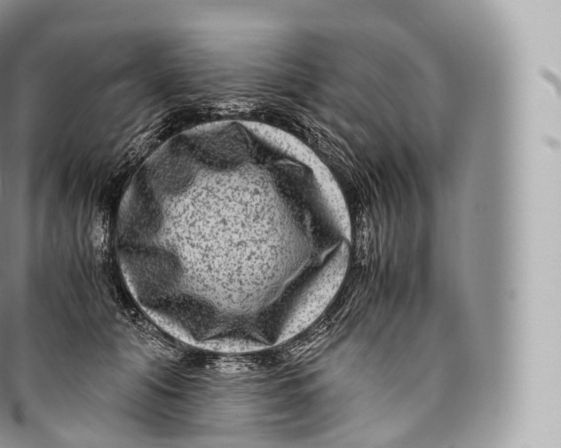 X0000096480608200802141723