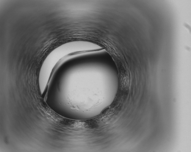 X0000096480609200802141723