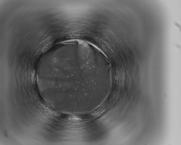 X0000096480610200802141723