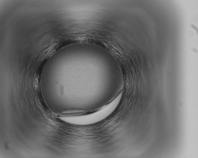 X0000096480611200802141723