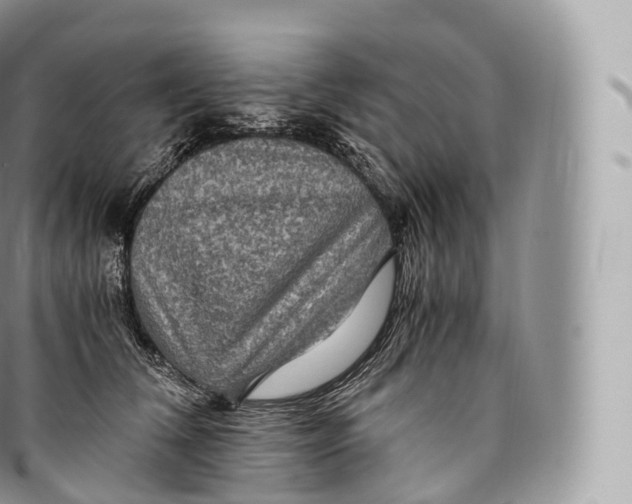 X0000096480612200802141723